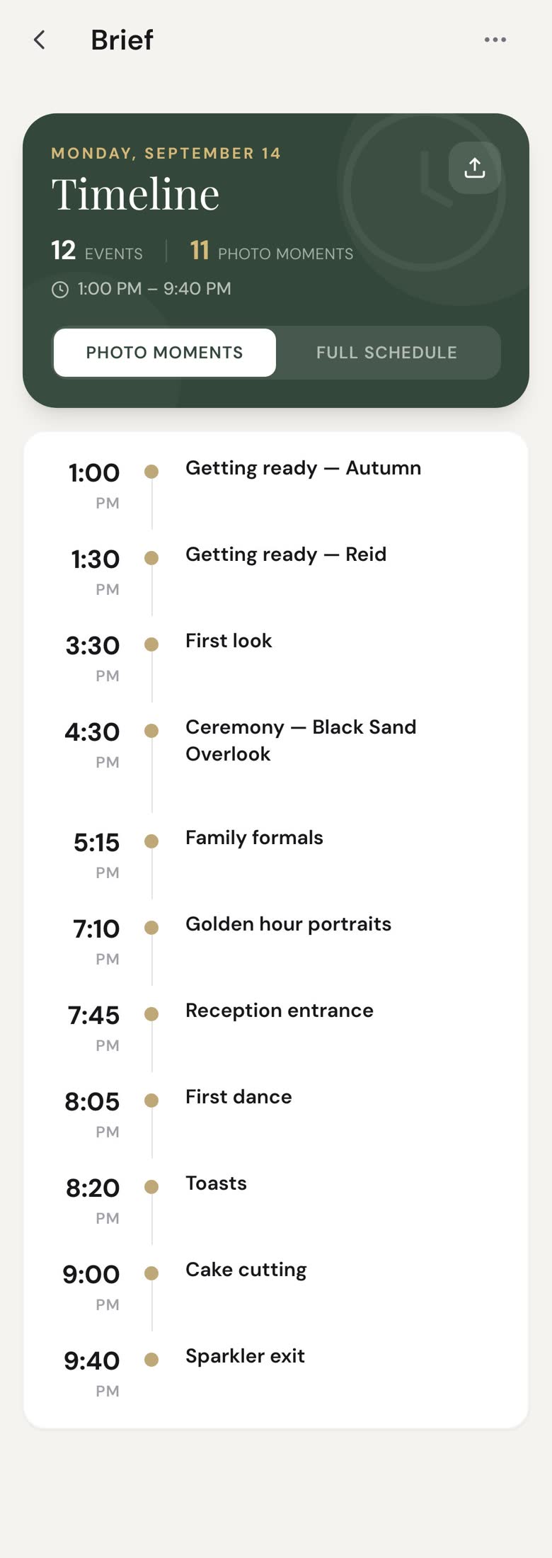 The timeline, opened from the Brief
